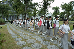 照片