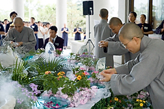 照片