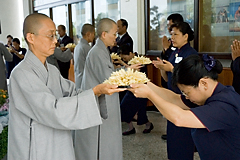 照片