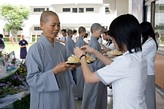 照片