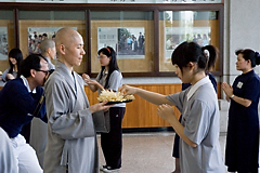 照片