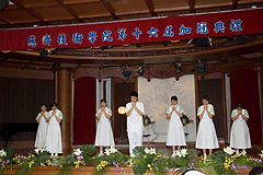 照片
