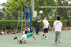 照片