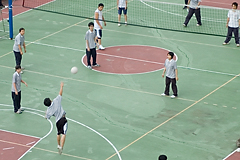 照片