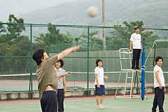 照片