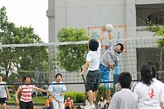 照片