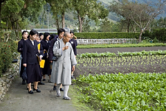 照片