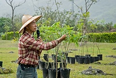 照片