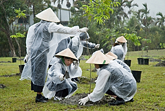 照片