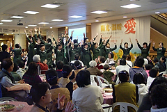 照片