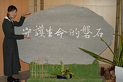 照片