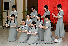 照片