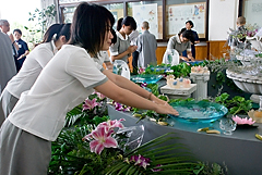 照片