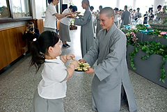 照片