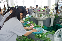 照片