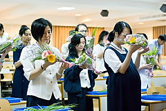 照片