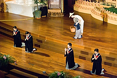 照片