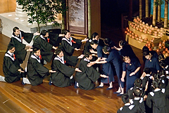 照片