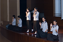 照片