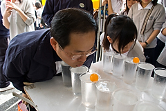 照片