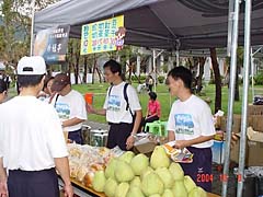 照片