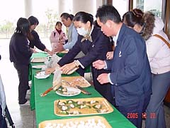 照片